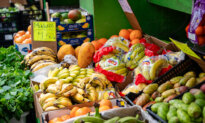The Grocery Store Is the Last Place a Food Crisis Shows Up
