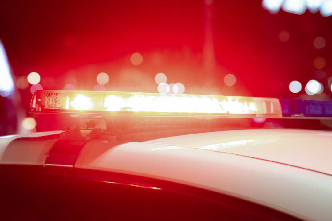 Bystanders Dive Into Rideau River to Save SUV Occupants