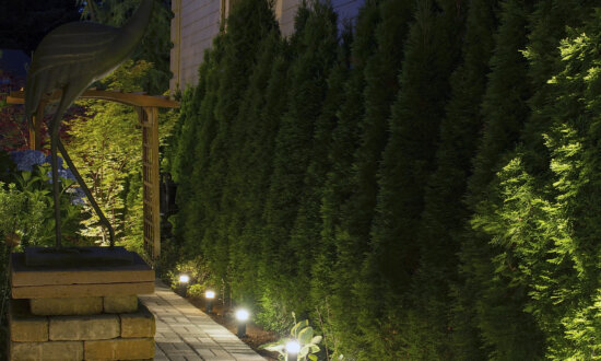 Install Low-Voltage Exterior Lighting