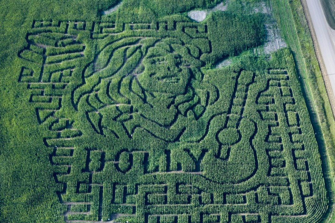 Alberta Farm Celebrates Dolly Parton’s Life With Corn Maze Tribute
