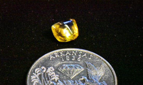 Granddad Spots Gleam in the Dirt, Plucks 2.29-Carat Yellow Diamond From Volcanic Crater in State Park