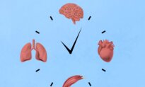 The Age of Your Organ Predicts Risk of Diseases Decades Before Symptoms Appear