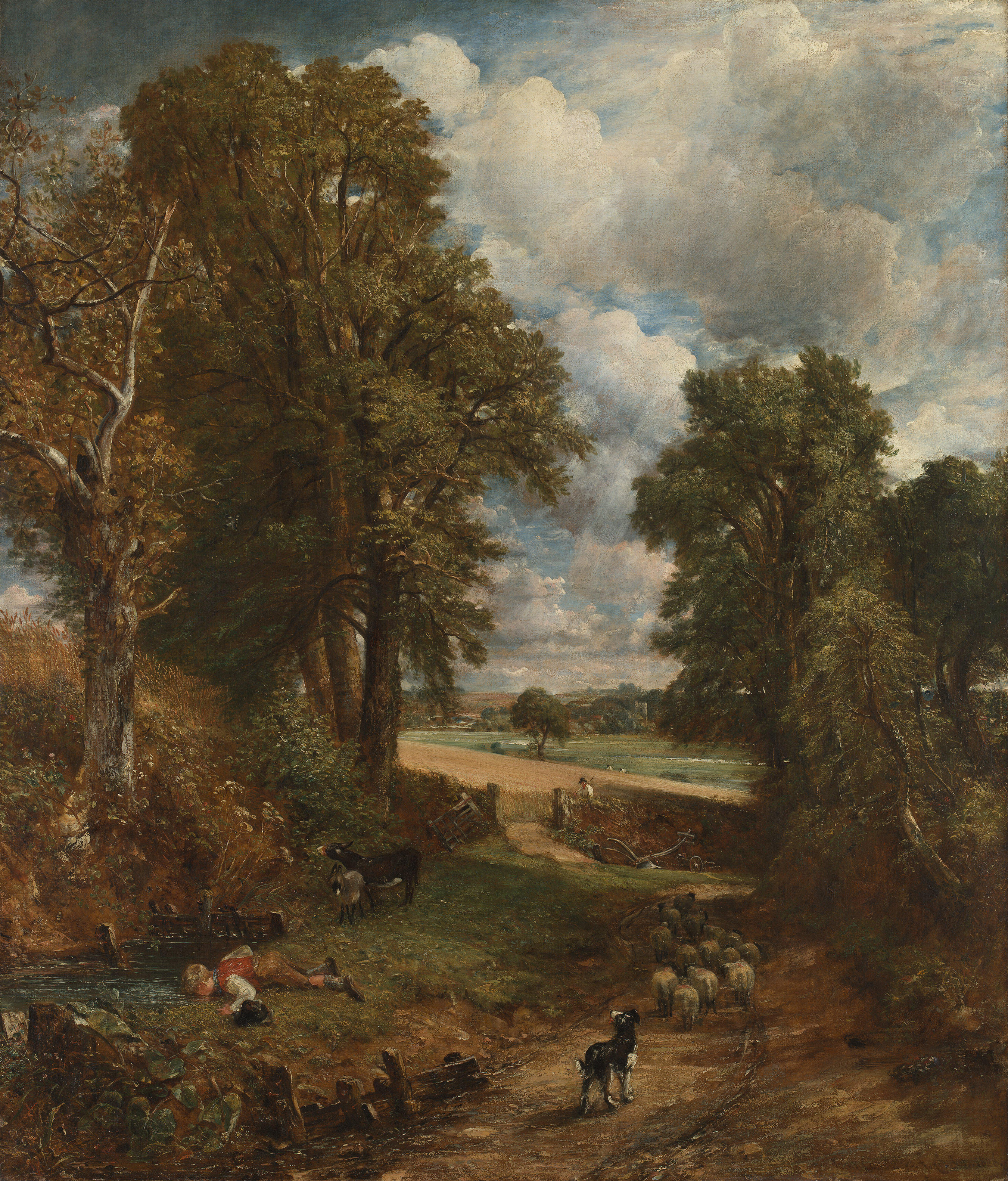 The Cornfield