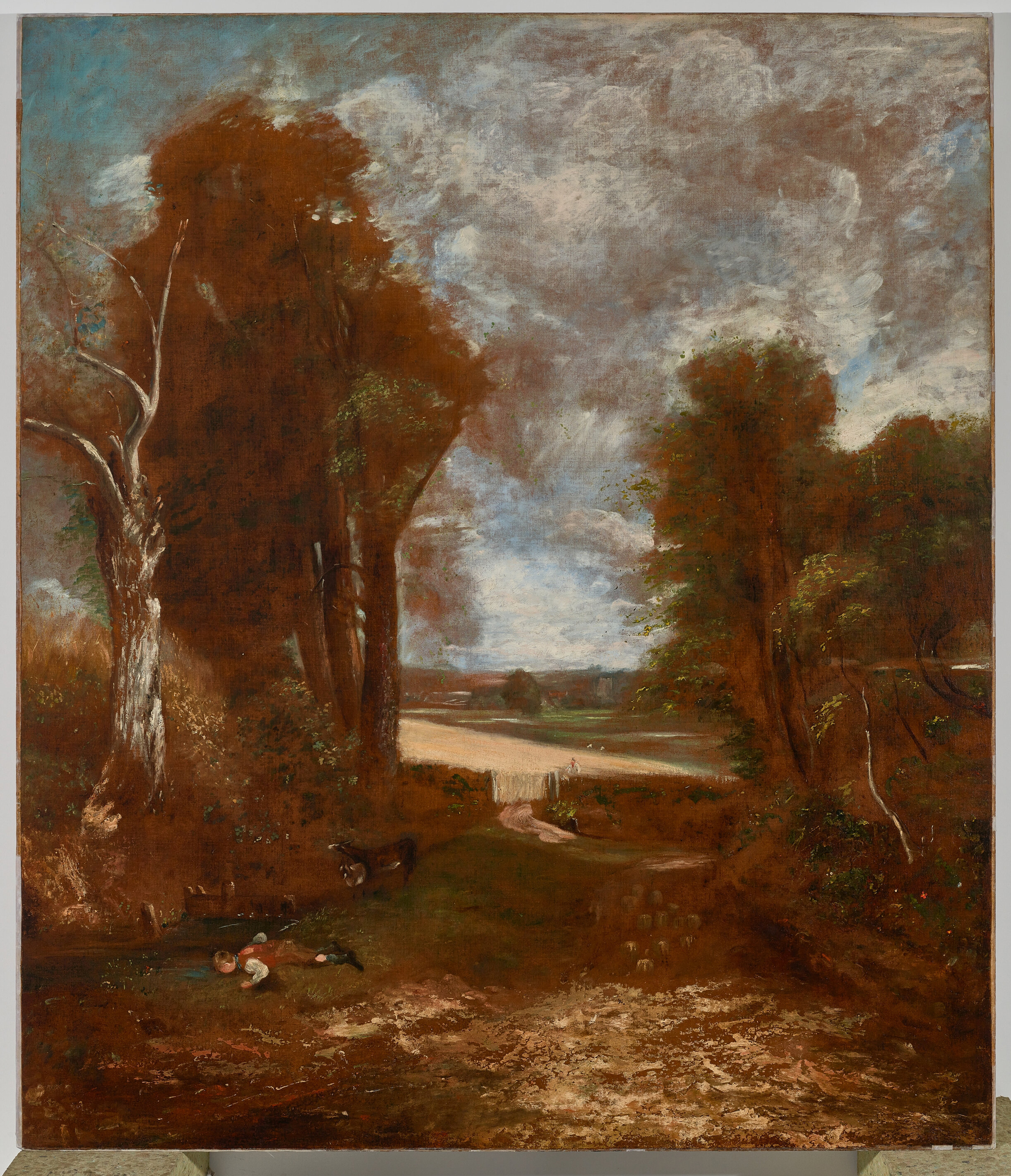 The Cornfield