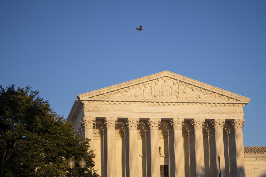 Supreme Court Denies Appeal From Surrogate Over Custody of Son