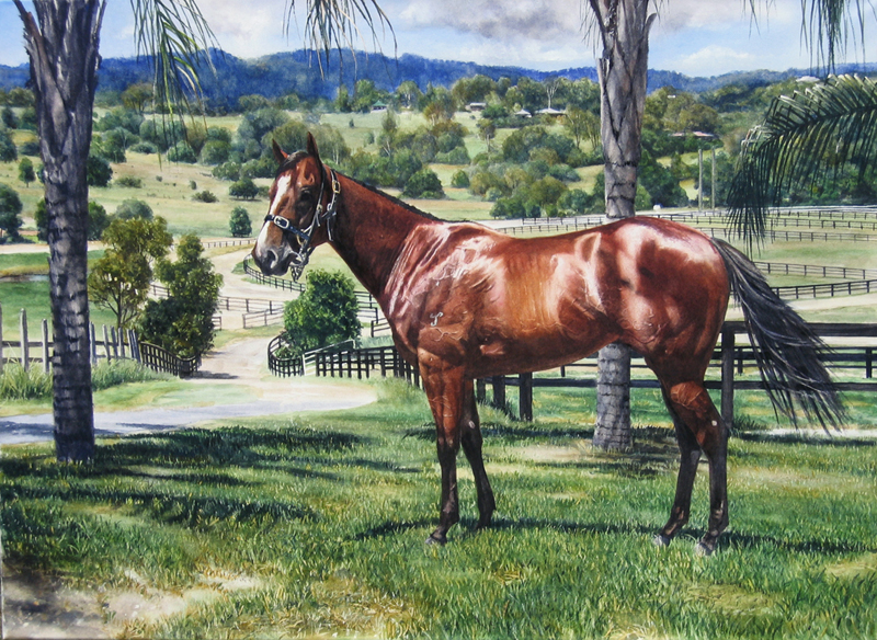 Snitzel-Waverley-Park_web (1)