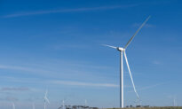 Australian Renewable Energy Agency Launches $30 Million Startup Funding Program