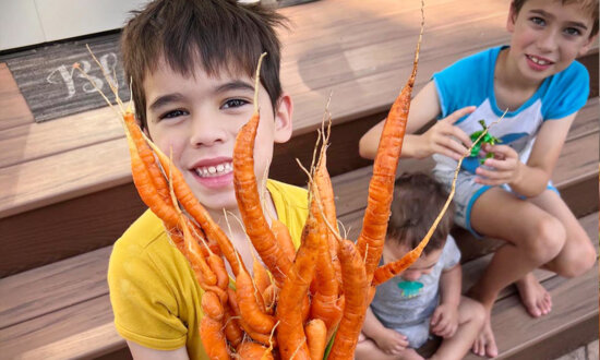 New Jersey Family Wanted a Healthier Lifestyle—So They Started a Homestead in Suburbia