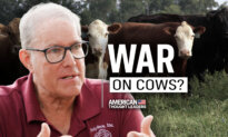 America’s Beef Shortage Explained | Joel Salatin