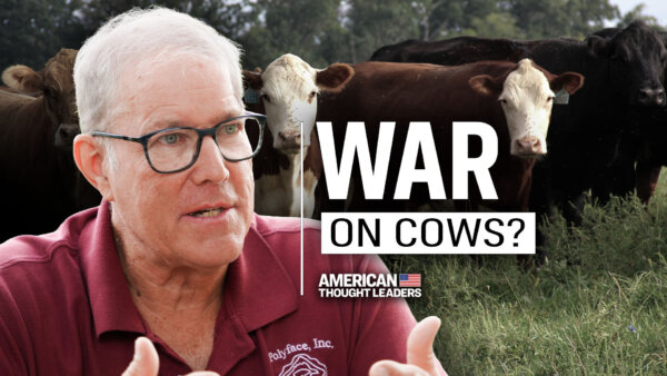 America’s Beef Shortage Explained | Joel Salatin
