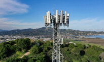 Health Agency Looking at Electromagnetic Fields, Wireless Radiation: RFK Jr.
