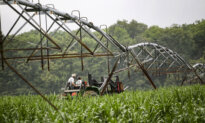 No More Mandatory ESG Fees for Dairy Farmers, USDA Rules