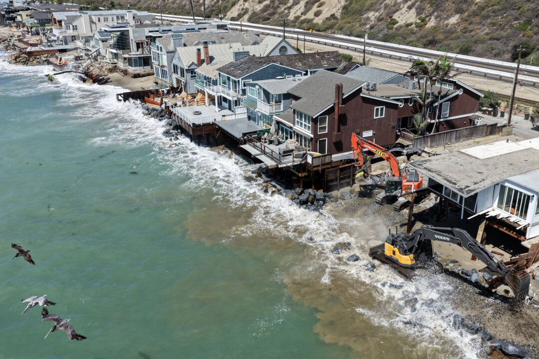 Week in Photos: Coastal Erosion in California, Zebra Doves in Thailand, and Shepherd Protest in Romania