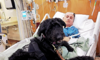 Shelter Dog Becomes Border Patrol’s First Critical Incident Response Canine