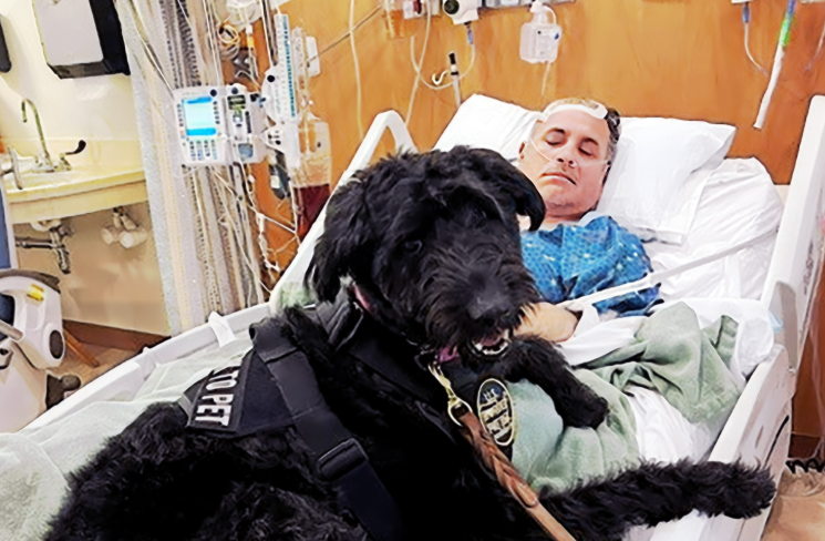 Shelter Dog Becomes Border Patrol’s First Critical Incident Response Canine