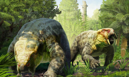 Scientists Discover 240-Million-Year-Old ‘Pig-Turtle’ Creature in Africa—And They Say It Reshapes the Timeline of First Dinosaurs