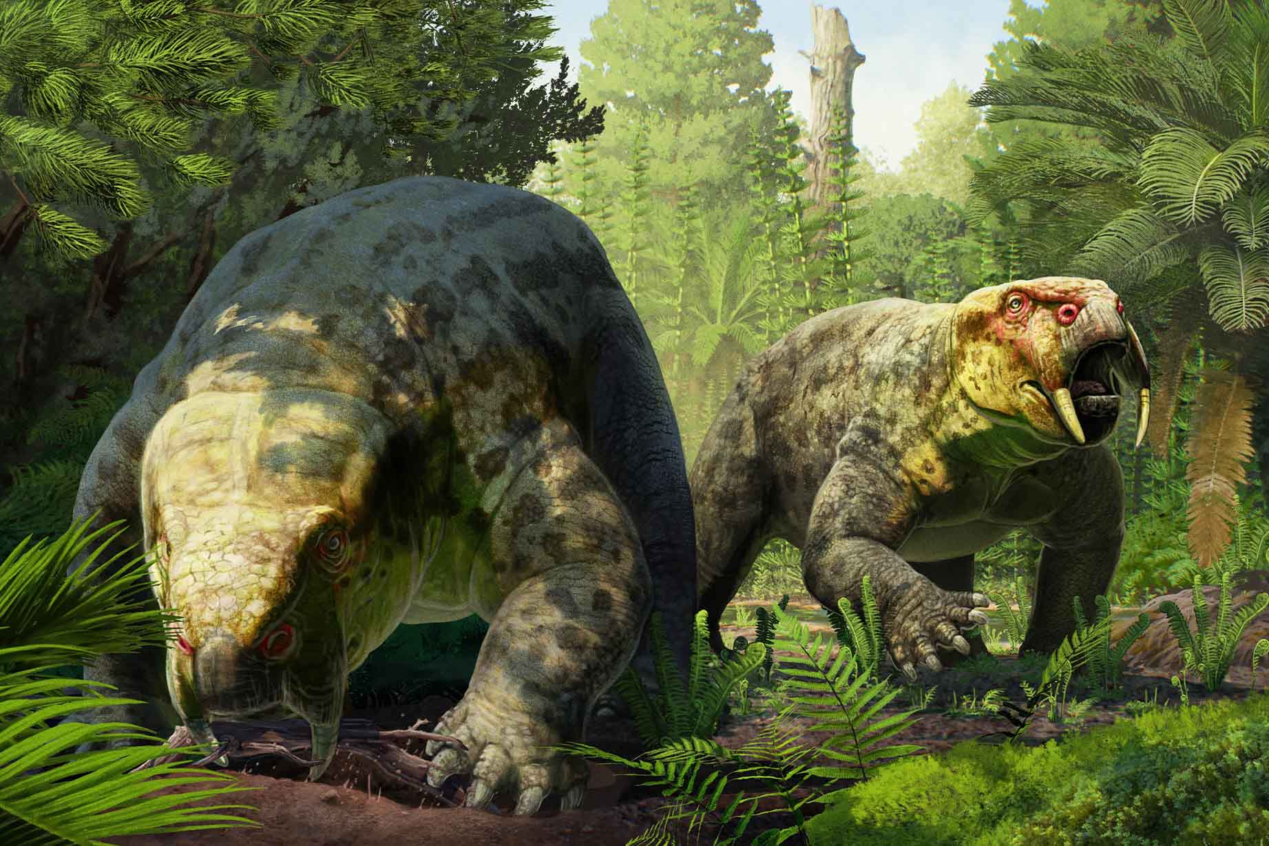 342-dino-34090