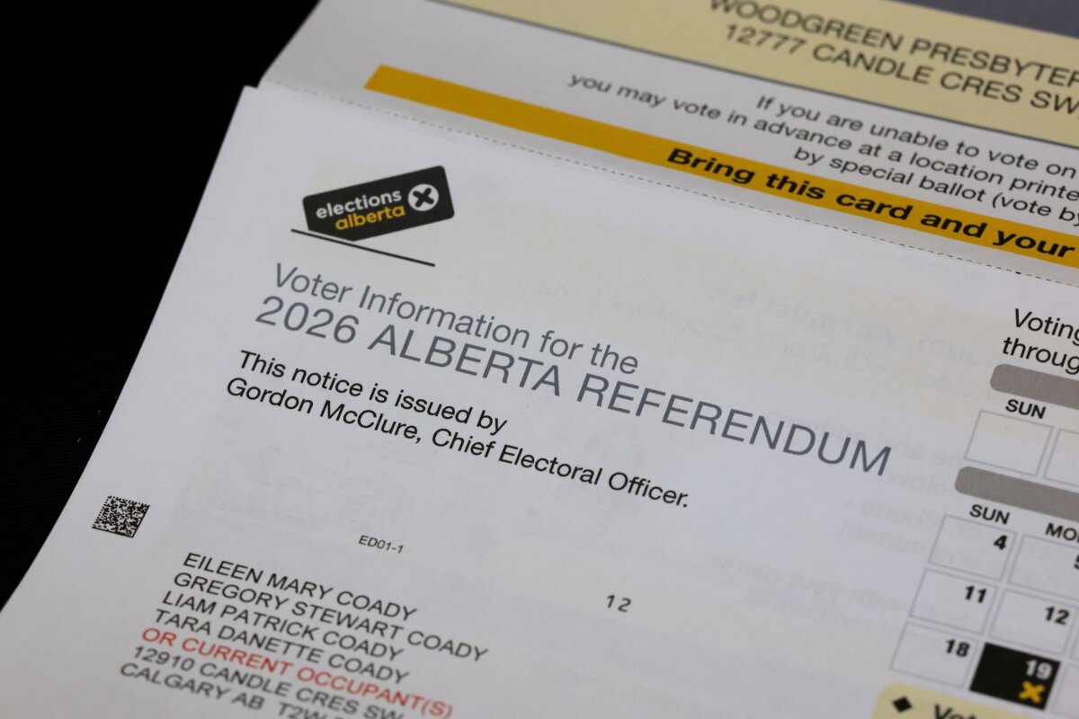 Voter information materials to be used for the 2026 Alberta Referendum in Edmonton on Sept. 3, 2026. (The Canadian Press/James Maclennan)