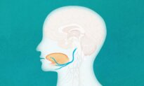 Hypoglossal Nerve Stimulation Could Relieve Sleep Apnea—Here’s How