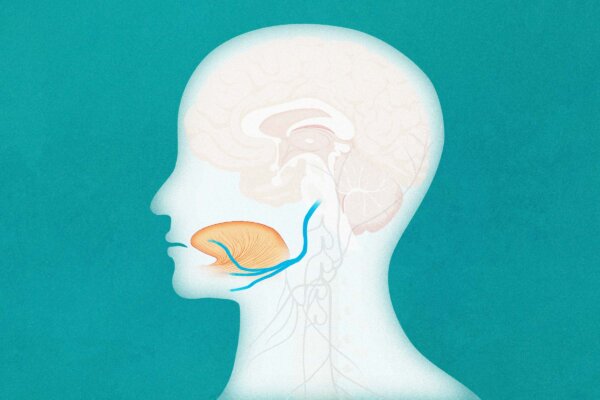 Hypoglossal Nerve Stimulation Could Relieve Sleep Apnea—Here’s How | California Insider