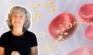 Is High Cholesterol Really Bad for You?