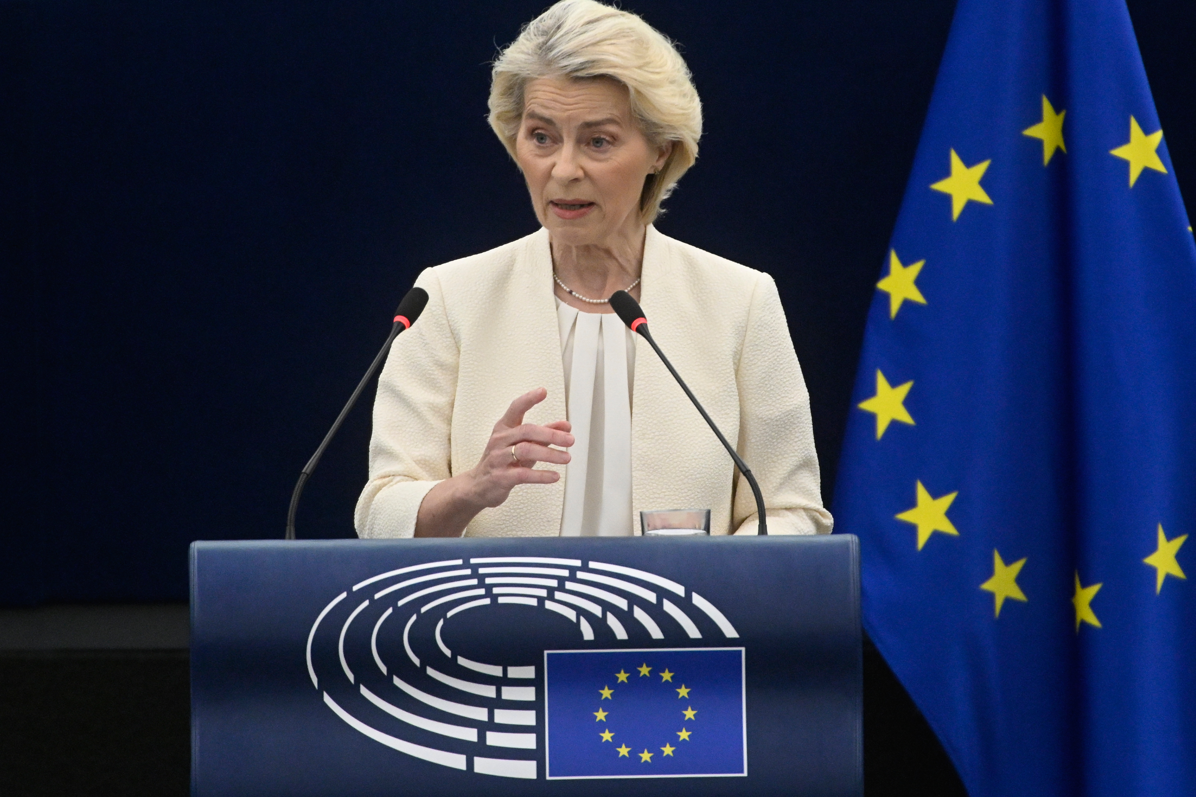 EU Philippines Trade