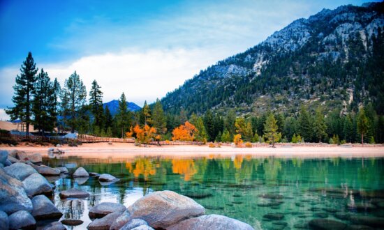 5 Ways to Enjoy Lake Tahoe in Autumn: Peep Fall Leaves, Climb a Ski Mountain, More