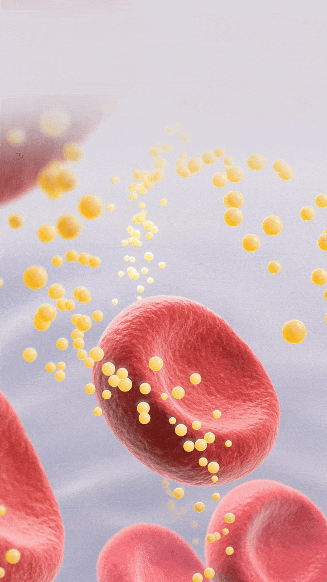 Is High Cholesterol Really Bad for You?