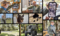 Feral Hogs Are Taking Over America; Hunters Have a Solution