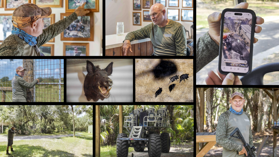 Feral Hogs Are Taking Over America; Hunters Have a Solution