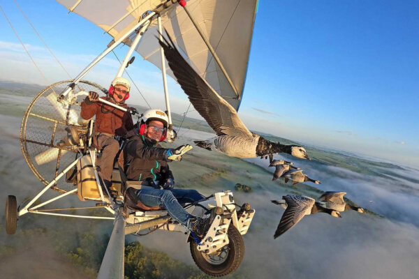 ‘Papa Goose’: Frenchman Flies Wing-to-Wing With Geese, Creating ‘Miraculous Moments’