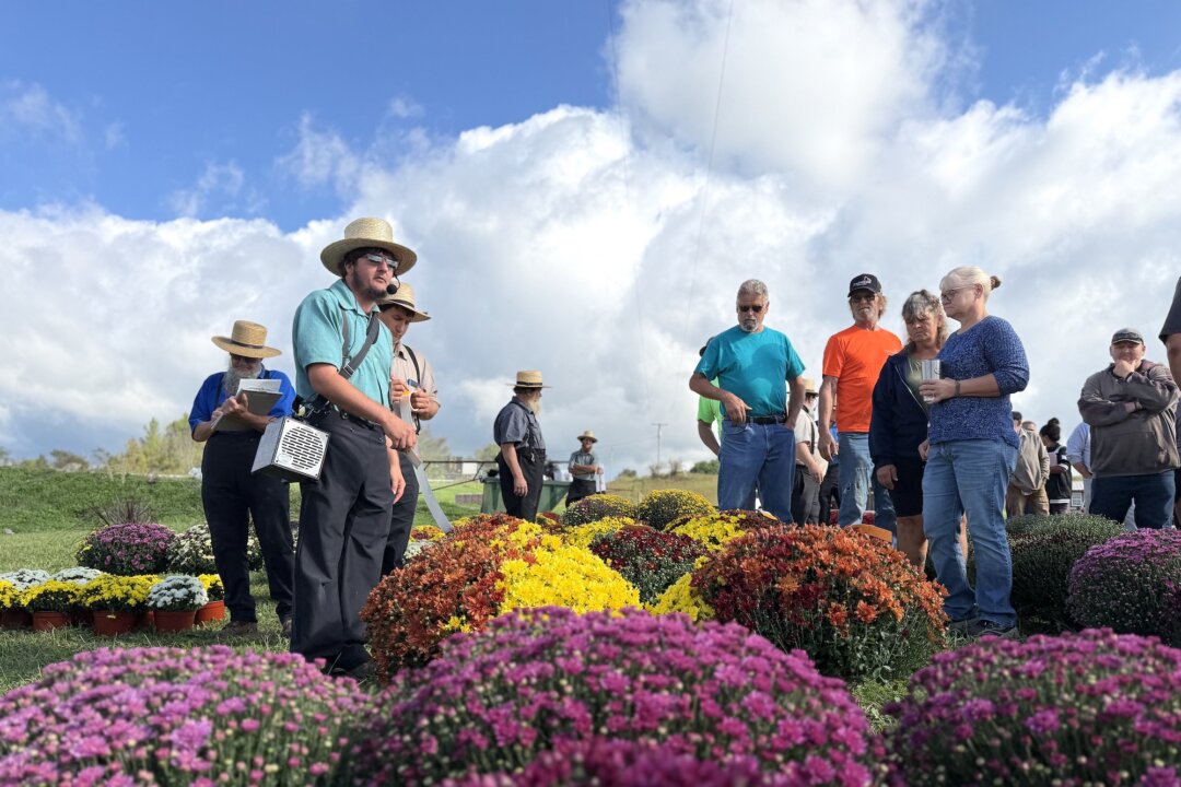 Amish Families Weigh Their Futures as Vaccine Fight Continues in New York