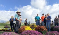 Amish Families Weigh Their Futures as Vaccine Fight Continues in New York