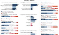 Epoch Reader Survey Finds Election Integrity, Border Security Top Midterm Issues