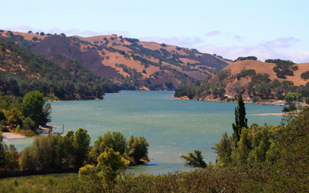 Invasive Golden Mussels Found at Lake Del Valle, Prompting Boat Quarantine Order