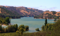 Invasive Golden Mussels Found at Lake Del Valle, Prompting Boat Quarantine Order
