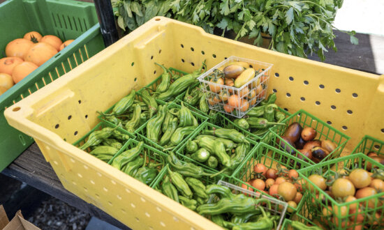 Farm Charm Travel Trend: Immersive Stays on Working Farms