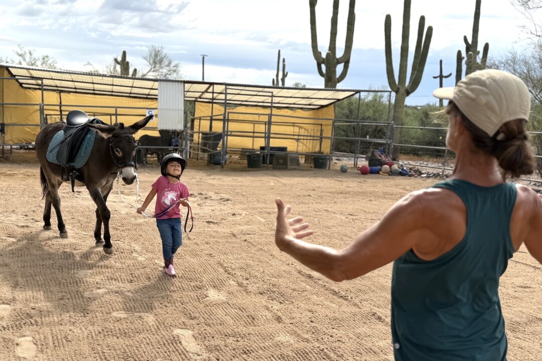 Arizona’s Four-Legged Teachers and Healers