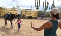 Arizona’s Four-Legged Teachers and Healers