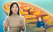 Could Autism Be An Energy Problem?
