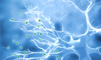 Is Parkinson’s Disease a Man-Made Epidemic?
