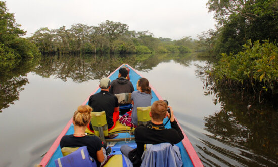 An Ecuadorian Amazon Lodge Hidden in a Jungle Paradise