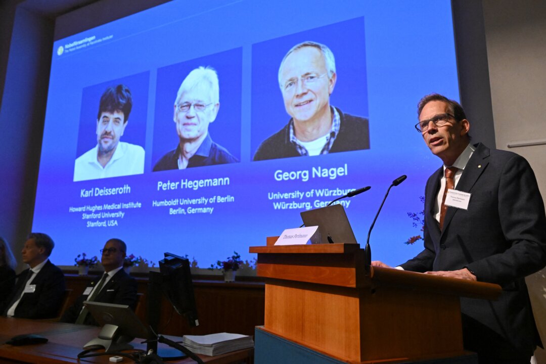 3 Scientists Receive Nobel Prize for Brain Activity Research