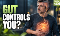 How Your Gut May Drive Anxiety, Brain Fog, and Weight Gain