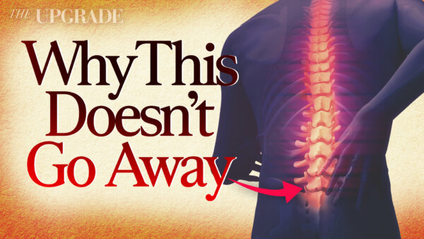 Why Your Back Pain Never Goes Away