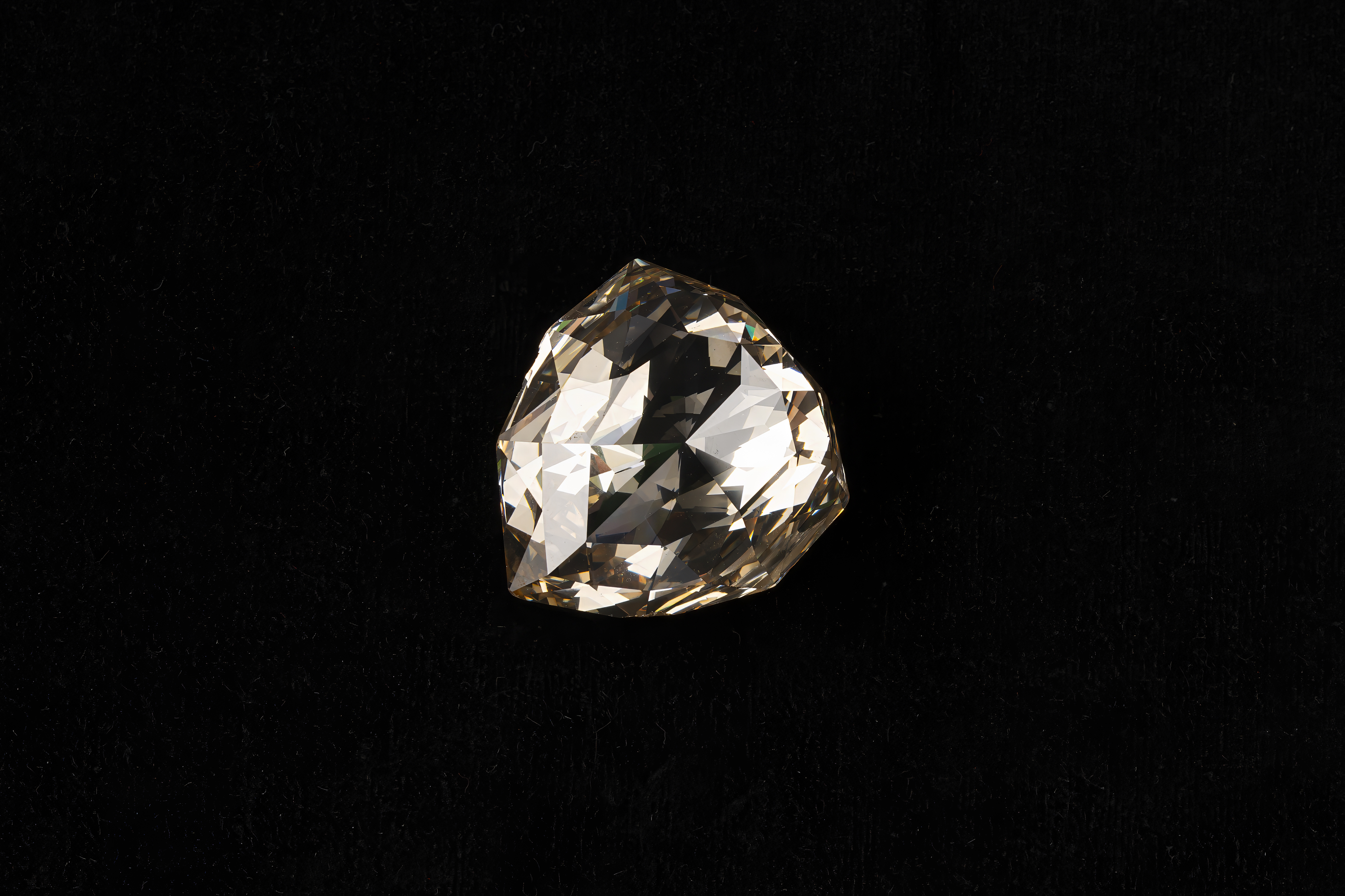 Hidden Treasure: A Century of Mystery