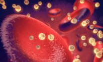 Why a Low-Carb Diet Raises LDL for Some People and Not Others