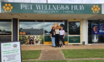 Queensland Small Business Warns Card Surcharge Ban Could Cost It $13,000 a Year