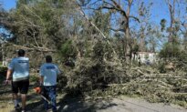 Volunteers Work to Clear Fallen Trees as Isaias Recovery Gets Underway