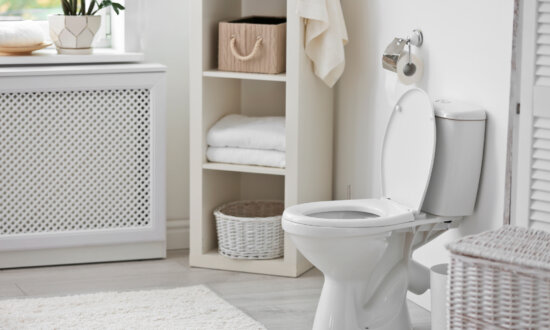Replace a Toilet